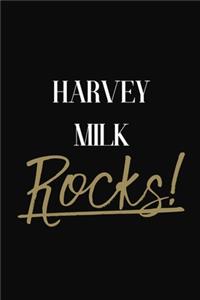 HARVEY MILK Rocks!