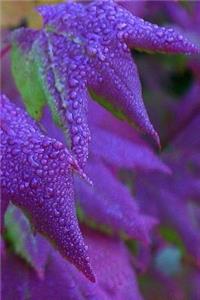 2019 Weekly Planner Pretty Purple Leaves 134 Pages
