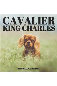 Cavalier King Charles 2019 Wall Calendar