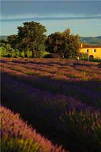 Lavender Field in the South of France at Twilight Journal