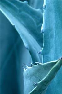 Aloe Blue-Gray - Lined Notebook with Margins
