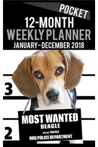 2018 Pocket Weekly Planner - Most Wanted Beagle