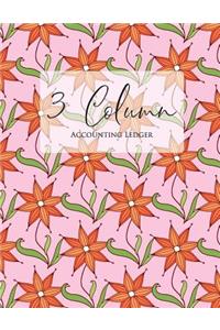 3 Column Accounting Ledger