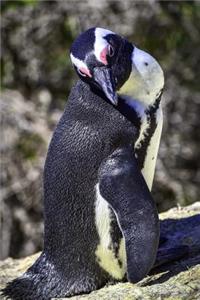 Say Hello to the African Penguin Journal
