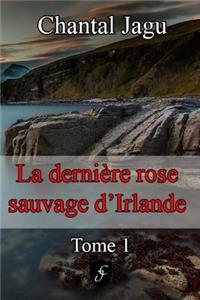 La DerniÃ¨re Rose Sauvage d'Irlande