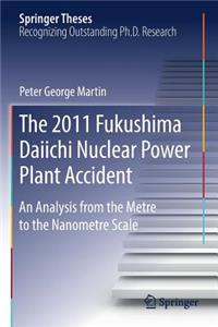 2011 Fukushima Daiichi Nuclear Power Plant Accident