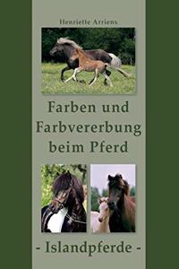 Farben und Farbvererbung beim Pferd: Islandpferde