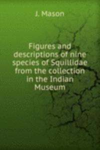 FIGURES AND DESCRIPTIONS OF NINE SPECIE