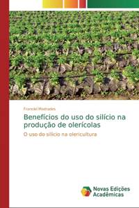 Benefícios do uso do silício na produção de olerícolas