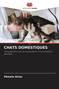 Chats Domestiques