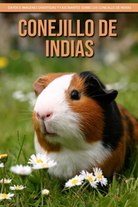 Conejillo de indias - Datos e imágenes divertidas y fascinantes sobre los Conejillo de indias