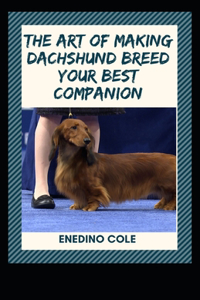 Art Of Making Dachshund Breed Your Best Companion