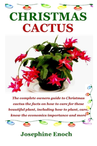 Christmass Cactus
