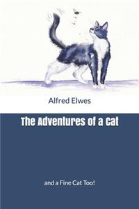 The Adventures of a Cat