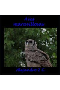 Aves Maravillosas