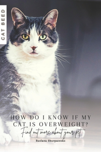 How do I know if my cat is overweight?