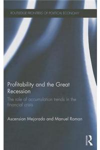 Profitability and the Great Recession