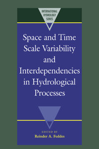 Space and Time Scale Variability and Interdependencies in Hydrological Processes