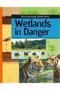 Wetlands In Danger