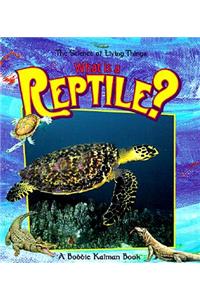 What Is a Reptile?