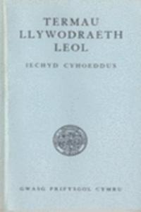 Termau Llywodraeth Leol - Iechyd Cyhoeddus