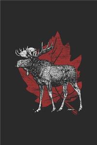 Canada - Moose