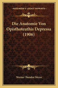 Die Anatomie Von Opisthoteuthis Depressa (1906)