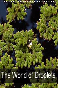 The World of Droplets 2016