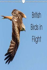 British Birds in Flight 2017