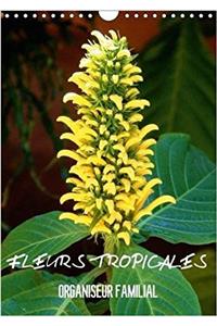 Fleurs Tropicales / Organiseur Familial 2018