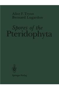 Spores of the Pteridophyta