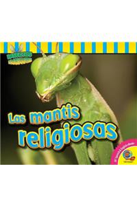Las Mantis Religiosas