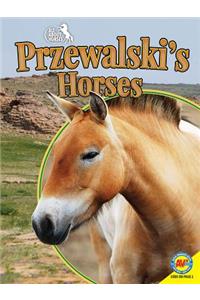 Przewalski's Horses