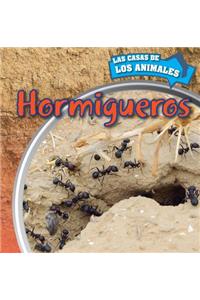 Hormigueros (Inside Anthills)
