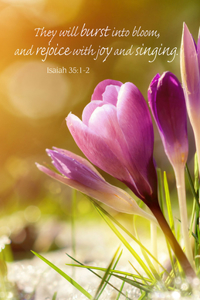 Burst Into Bloom Spring Bulletin (Pkg of 50)