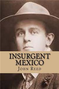 Insurgent Mexico