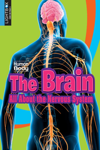 Brain: All about the Nervous System