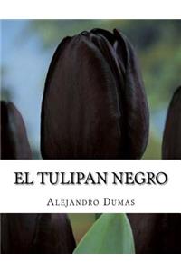 El Tulipan Negro