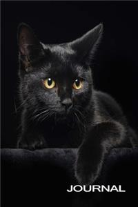 Black Cat Journal