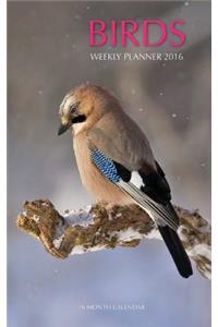 Birds Weekly Planner 2016