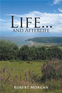 Life... and Afterlife
