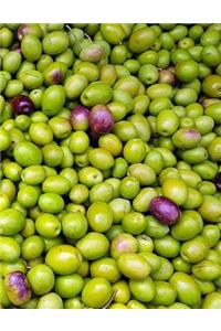 Olives Notebook