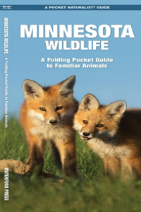 Minnesota Wildlife