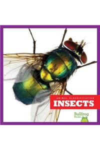 Insects