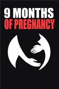 9 Months pregnancy journal