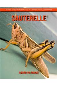 Sauterelle