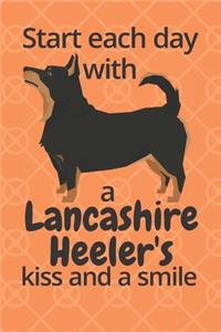 Start each day with a Lancashire Heeler's kiss and a smile