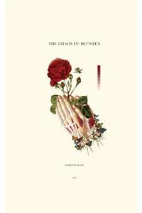 The Chaos In-Between