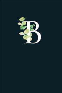 B