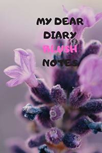 My Dear Diary Blush Notes